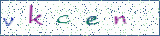 Type the letters shown in the picture