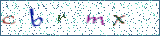 Type the letters shown in the picture