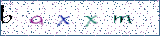 Type the letters shown in the picture
