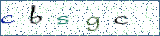 Type the letters shown in the picture