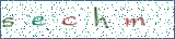 Type the letters shown in the picture