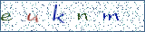 Type the letters shown in the picture