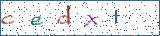 Type the letters shown in the picture