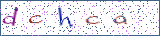 Type the letters shown in the picture