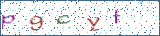 Type the letters shown in the picture