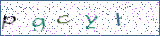 Type the letters shown in the picture