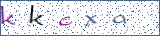 Type the letters shown in the picture