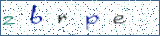 Type the letters shown in the picture