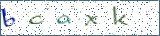 Type the letters shown in the picture