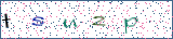 Type the letters shown in the picture