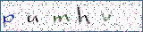 Type the letters shown in the picture