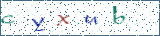 Type the letters shown in the picture