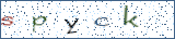 Type the letters shown in the picture