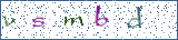 Type the letters shown in the picture