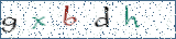 Type the letters shown in the picture