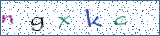 Type the letters shown in the picture