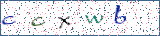 Type the letters shown in the picture