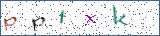 Type the letters shown in the picture