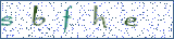 Type the letters shown in the picture