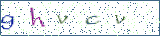 Type the letters shown in the picture