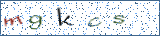 Type the letters shown in the picture