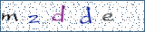 Type the letters shown in the picture
