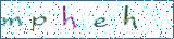 Type the letters shown in the picture
