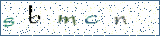 Type the letters shown in the picture