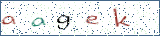 Type the letters shown in the picture