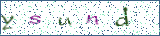 Type the letters shown in the picture