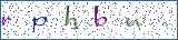 Type the letters shown in the picture