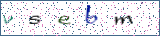 Type the letters shown in the picture