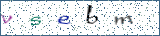 Type the letters shown in the picture