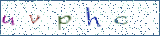 Type the letters shown in the picture