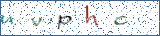 Type the letters shown in the picture