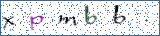 Type the letters shown in the picture
