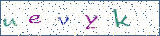 Type the letters shown in the picture