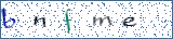 Type the letters shown in the picture