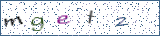Type the letters shown in the picture