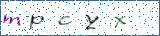 Type the letters shown in the picture