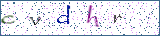 Type the letters shown in the picture