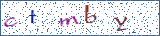 Type the letters shown in the picture