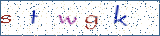 Type the letters shown in the picture