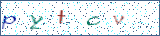 Type the letters shown in the picture