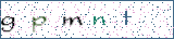 Type the letters shown in the picture