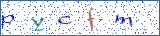 Type the letters shown in the picture
