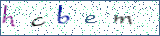 Type the letters shown in the picture