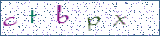 Type the letters shown in the picture