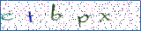 Type the letters shown in the picture