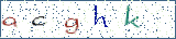 Type the letters shown in the picture